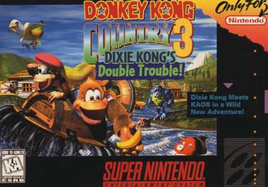 donkeykong3_snes.jpg